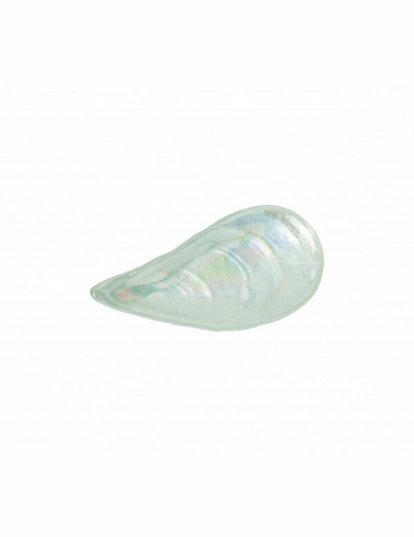 Barbatana vidro madrepérola 20cm