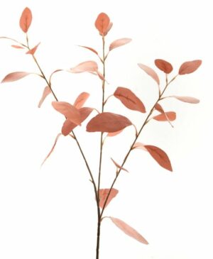 Eucalipto rosa